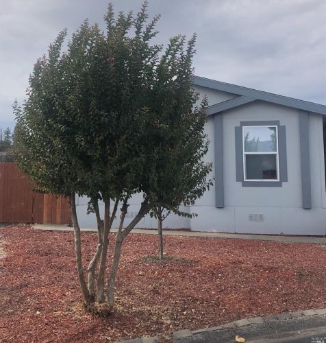 3900 State St, Willits, CA 95490-9518