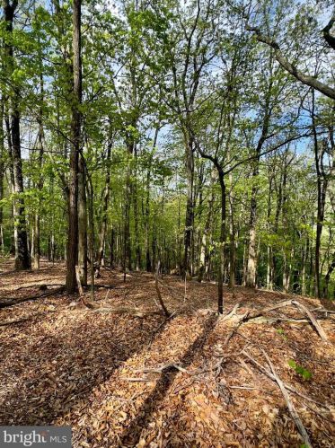 1765 Peters Mountain Ln, Upper Tract WV  26866 exterior