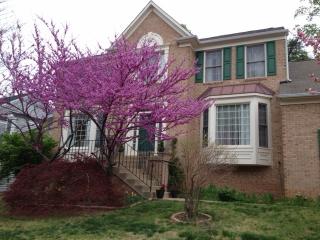5409 Sandy Point Ln, Clifton, VA 20124-0945