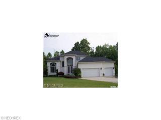11425 Saddlewood Ln, Concord Township, OH 44077-8936