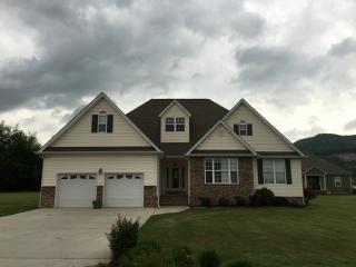 160 Julie Lynn Ln, Jasper, TN 37347-2947