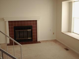 4209 Halifax Ct, Denver CO  80013-4585 exterior