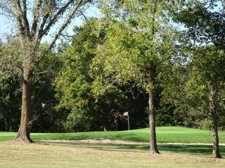 13518 Redfield Dr, Spring Garden, MO 65032-2166