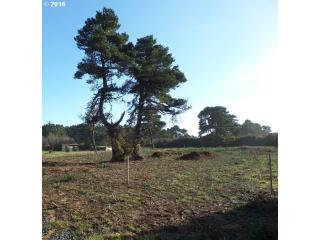 87416 16th St, Bandon, OR 97411-9072