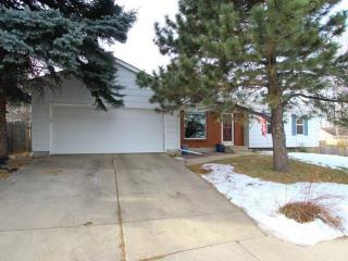 9217 Holland St, Westminster, CO 80021-4371