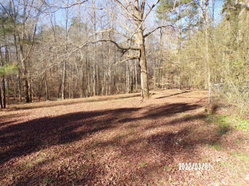 3935 Mason Creek Rd, Winston GA  30187-1503 exterior