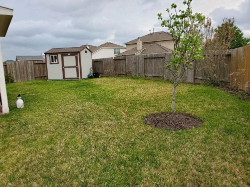 5214 Jay Thrush Dr, Richmond TX 77407-4011 exterior