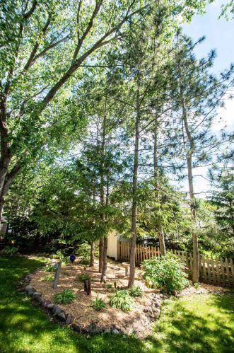 9063 Duckwood Trl, Saint Paul MN  55125-8687 exterior