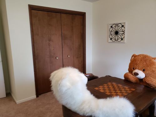 9513 Dogwood Dr, Hammond IN  46321-3708 exterior