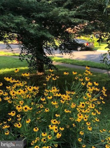 7635 Dunston St, Springfield VA  22151-2611 exterior