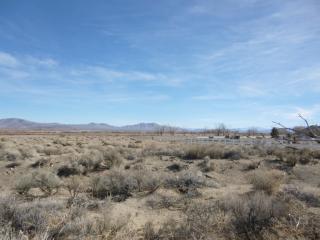 220 Artesia Rd, Wellington, NV 89444-9599