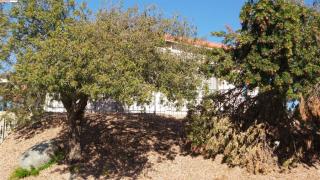 34250 Olive Grove Rd, Wildomar, CA 92595-9130
