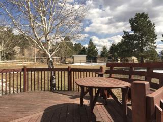 917 Forest Edge Pl, Woodland Park CO  80863-1228 exterior