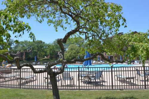 24 Kane Ct, Willowbrook IL  60527-2263 exterior