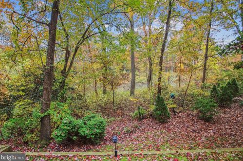 602 Mckinsey Park Dr, Severna Park MD  21146-4531 exterior