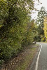 457 Prospect St, Napavine, WA 98532-3515