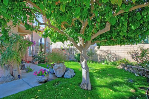 78625 Saguaro Rd, La Quinta, CA 92253-2466