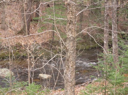 524 Beech Hill Rd, Ellsworth, NH 03223-4313