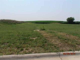 1106 2nd St, Sunny Hill Estates, IL 61273-7763