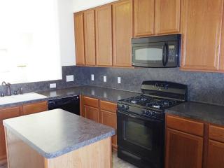 1003 Lamson Ct, Spring TX  77373-8060 exterior