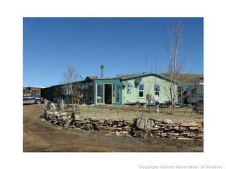 181 Jeff Creek Ct, Fairplay, CO 80456-0439