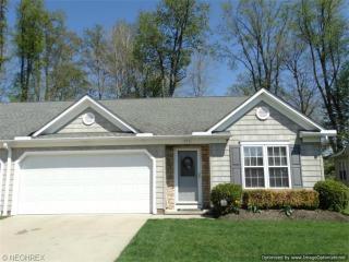 753 Rivers Edge Ln, Concord Township, OH 44077-3763