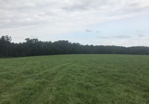 6774 Bowman Hwy, Hartwell, GA 30643-5814