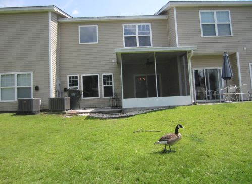 248 Grand Oaks Dr, Ladson SC  29456-5005 exterior