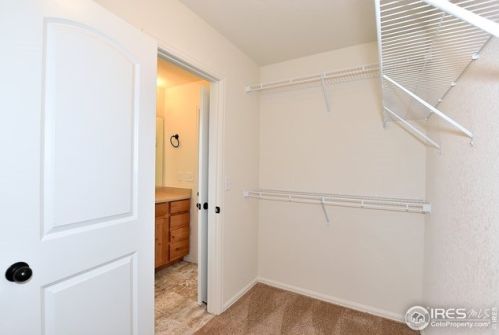 2637 Emerald St, Loveland CO 80537-2011 exterior