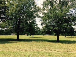 1033 Tanyard Creek Dr, Harlem, GA 30824-7061