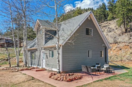 195 Brookside Dr, Bailey, CO 80421-2102
