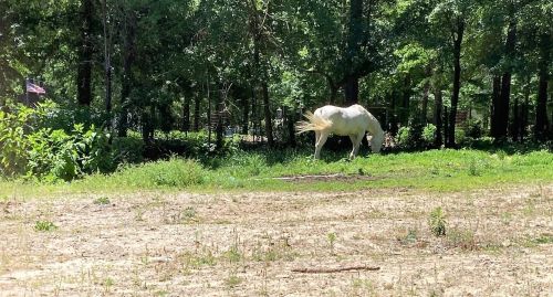 4521 Fiske Loop, Evans GA  30809-3400 exterior