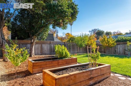 3124 Ameno Rd, Concord CA  94519-2221 exterior
