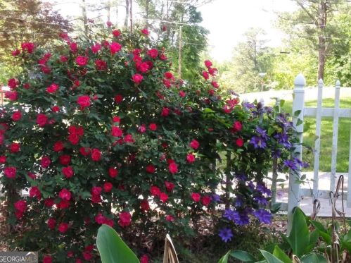 90 Cumberland Dr, Rex GA 30273-1800 exterior