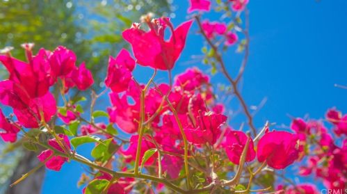 17677 Cedarwood Dr, Riverside CA  92503-7039 exterior