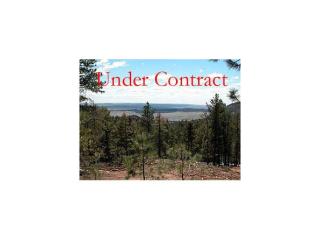 2532 Elk Park Rd, Palmer Lake CO  80118-6613 exterior