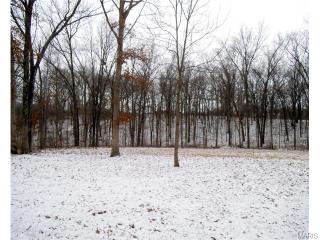 128 Saxony Woods Dr, Foley, MO 63347-2812