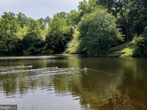 10365 River Rd, Rixeyville, VA 22737-1755