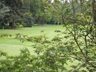 17001 Inglewood Rd, Bothell, WA 98028-3963