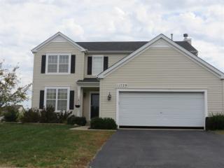 11729 Wolf Creek Ln, Plainfield, IL 60585-2504
