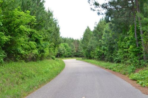 185 Ozan Point Rd, Amity, AR 71921