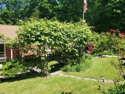 12 Pinecliff Rd, Fredon, NJ 07860-9727