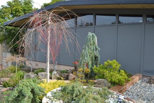 2653 Martinez Dr, Burlingame, CA 94010-5828