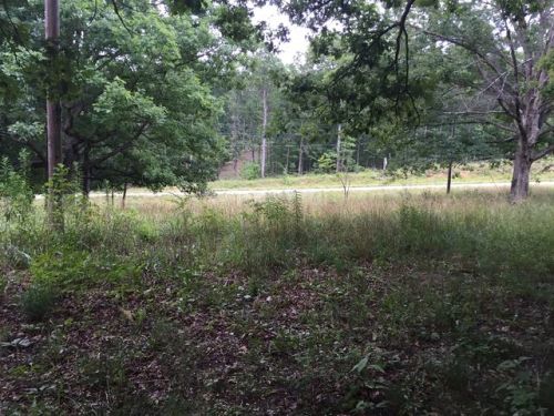 252 Highway, Arcadia, MO 63621