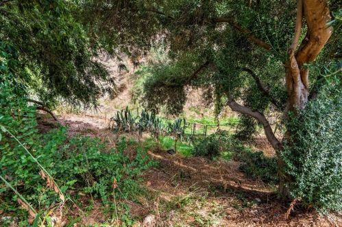 1921 Arroyo Dr, Riverside CA  92506-1610 exterior