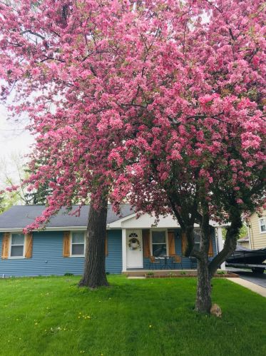 465 Linden Ln, Antioch, IL 60002-1644