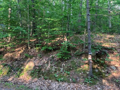 81 Scott Dr, Alton, NH 03810-4346