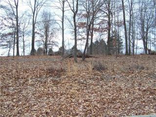 1008 Kennedy Ln, Cottontown, TN 37048-4742