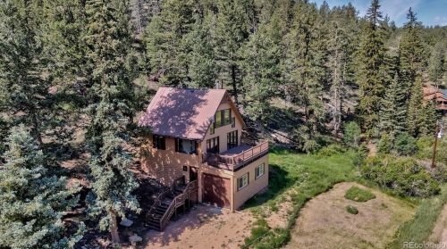1001 Sleepy Joe Dr, Tarryall, CO