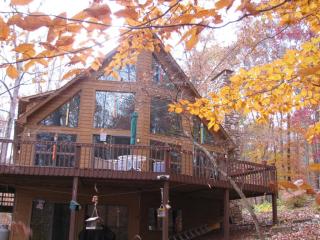359 Bettys Creek Dr, Scruggs, VA 24121-2460